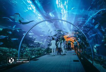 Golden Turtle Farm, Manesar | Luxury Staycation Deal