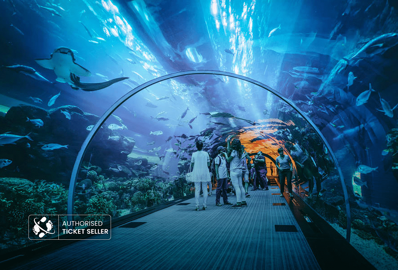 Grand Island Goa Tour With Scuba Diving