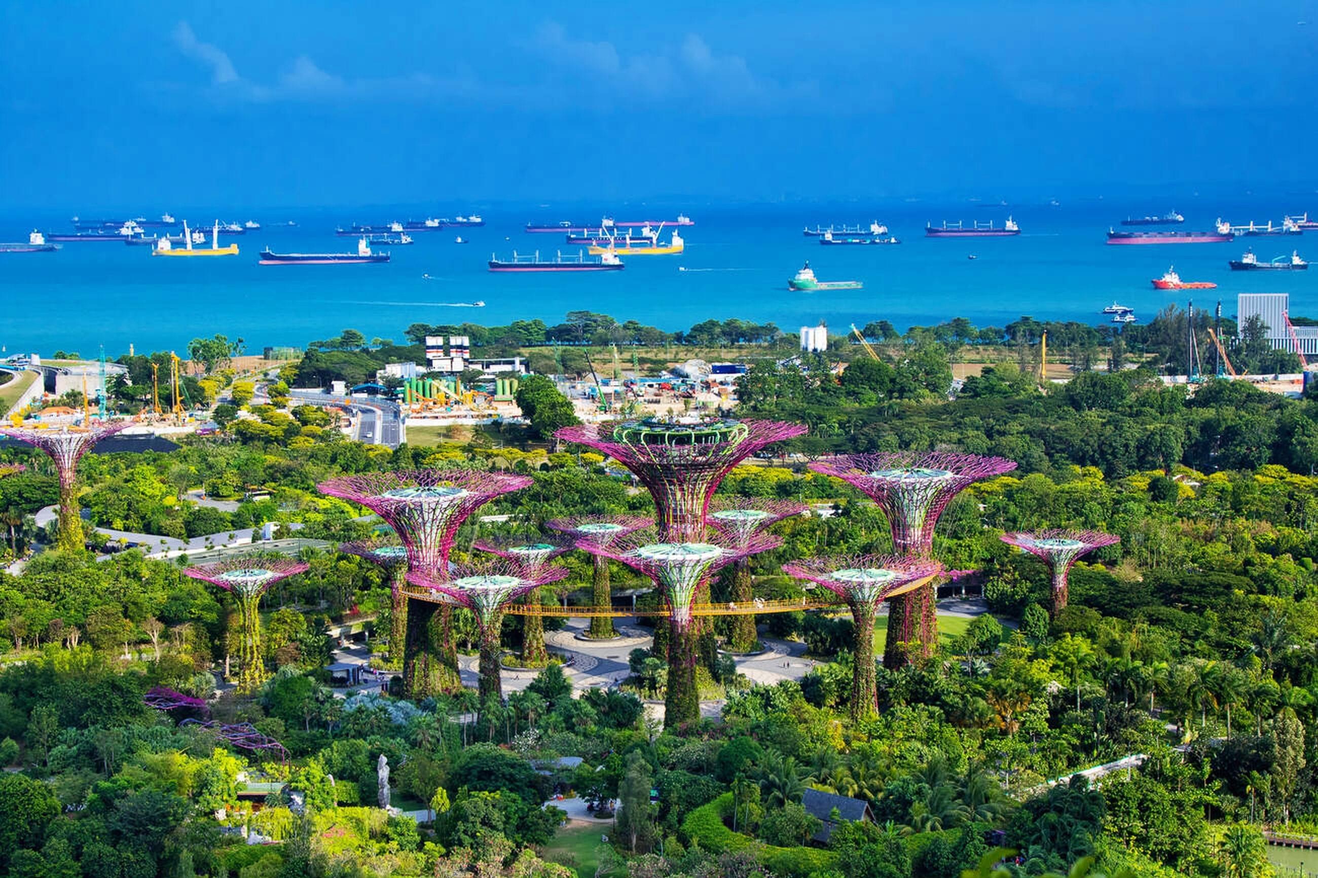 Singaporean Delights With Gardens By The Bay